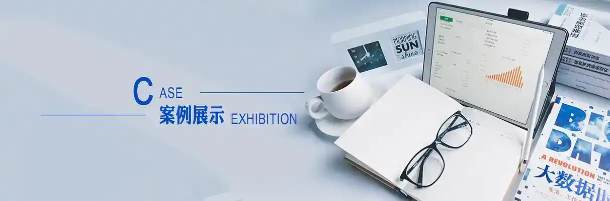 新安县软件开发
